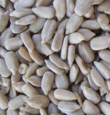 Sunflower Seed Kernel