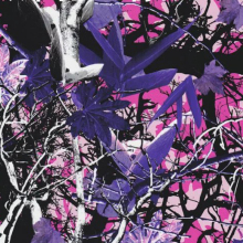 TSAUTOP Camouflage Tree Pattern Water Transfer Print Film