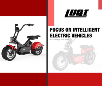 Electric Scooter with Removable Lithium Battery Motorcycle