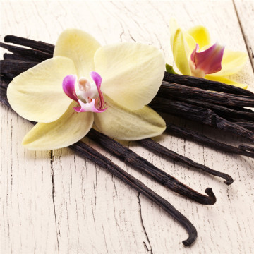 Pure Natural Vanilla Essential Oil