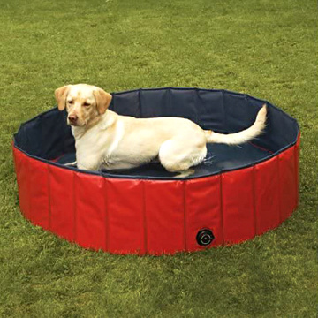 Piscine de chien pliable