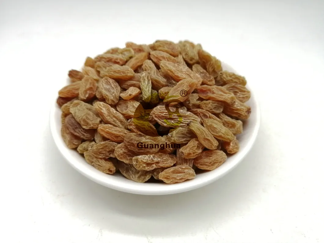 Pure Natural Color Raisin Cheap Price for Export