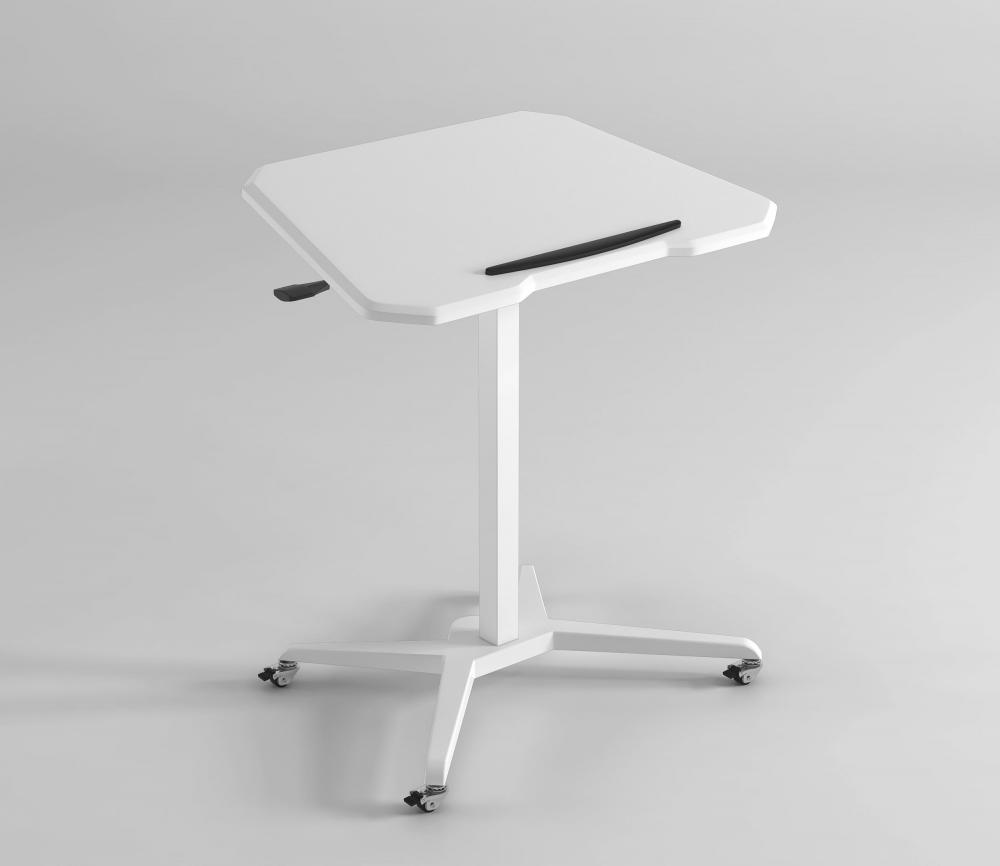 Sit to Stand laptop computer support