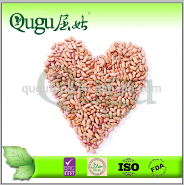 Chinese Purple Pinto Beans Price,Canned Pinto Beans