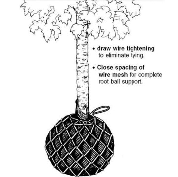 Wire Tree Baskets for nursery and plants