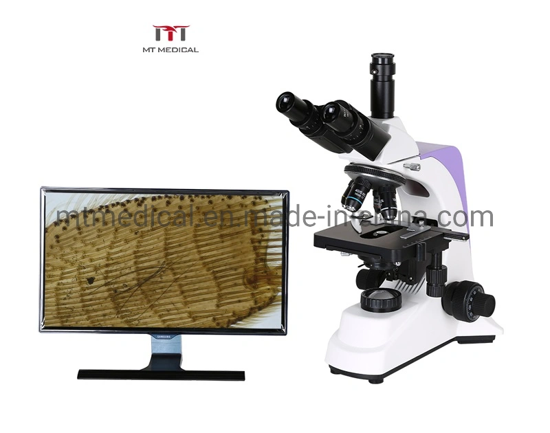 Medical Instrument All Kinds of Electron Binocular/Trinocular Metallurgical Microscopes Price