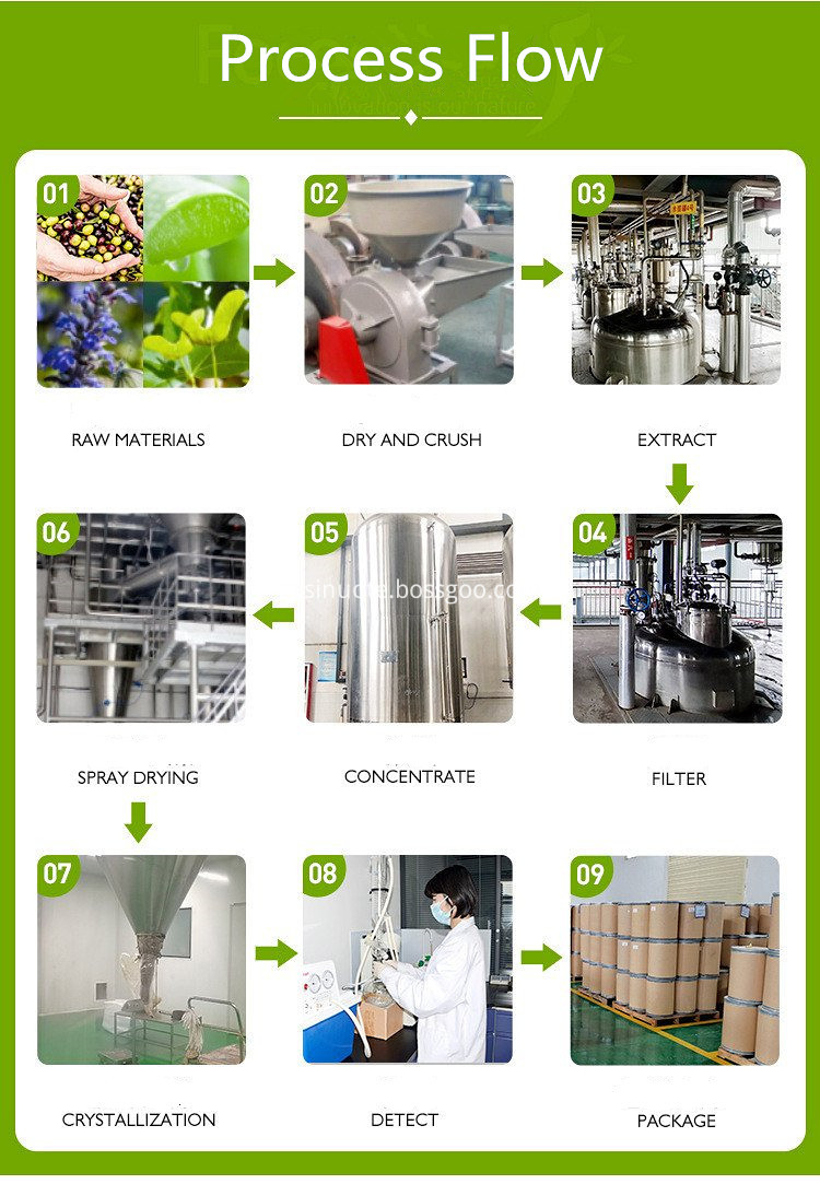 Prozessablauf Process Flow
