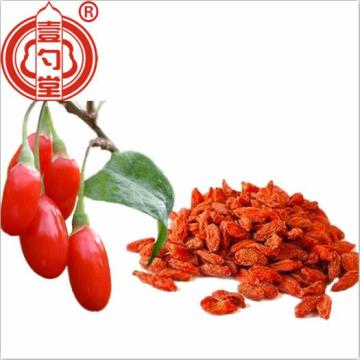 Conventional dried goji berry Ningxia fruit