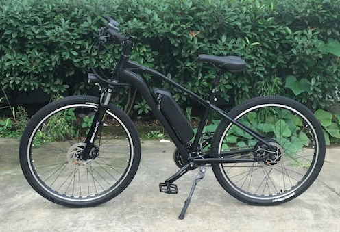 48V 350W Disc Brake E-Bike