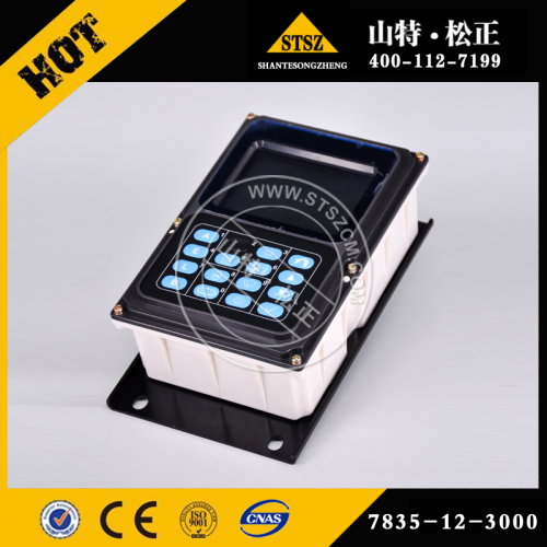 21q6-30400 display