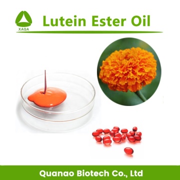 Eyecare Extracto de flor de caléndula Aceite de éster de luteína 20%