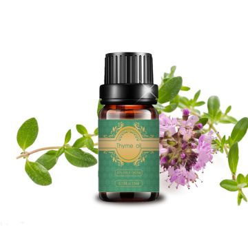 High Quality Thyme Essential Oil at Best Price
