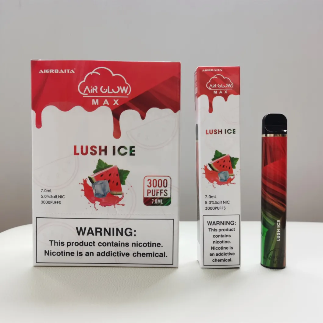 Shenzhen E Cigarette OEM Vape 3000 Puffs Disposable Ecig