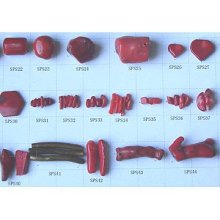 Natural Coral Bead