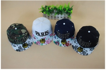 snapback/snapback hats/Hip Hop Snapback