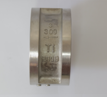 Titanium dual plate check valve