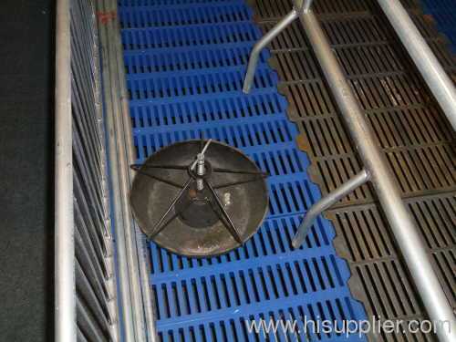 Stainless Steel Piglet Feeder 