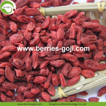 Factory Supply Wholesale Anti Cancer Healthy Goji