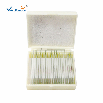 Microscope Slides Of 25 Biological Tissues