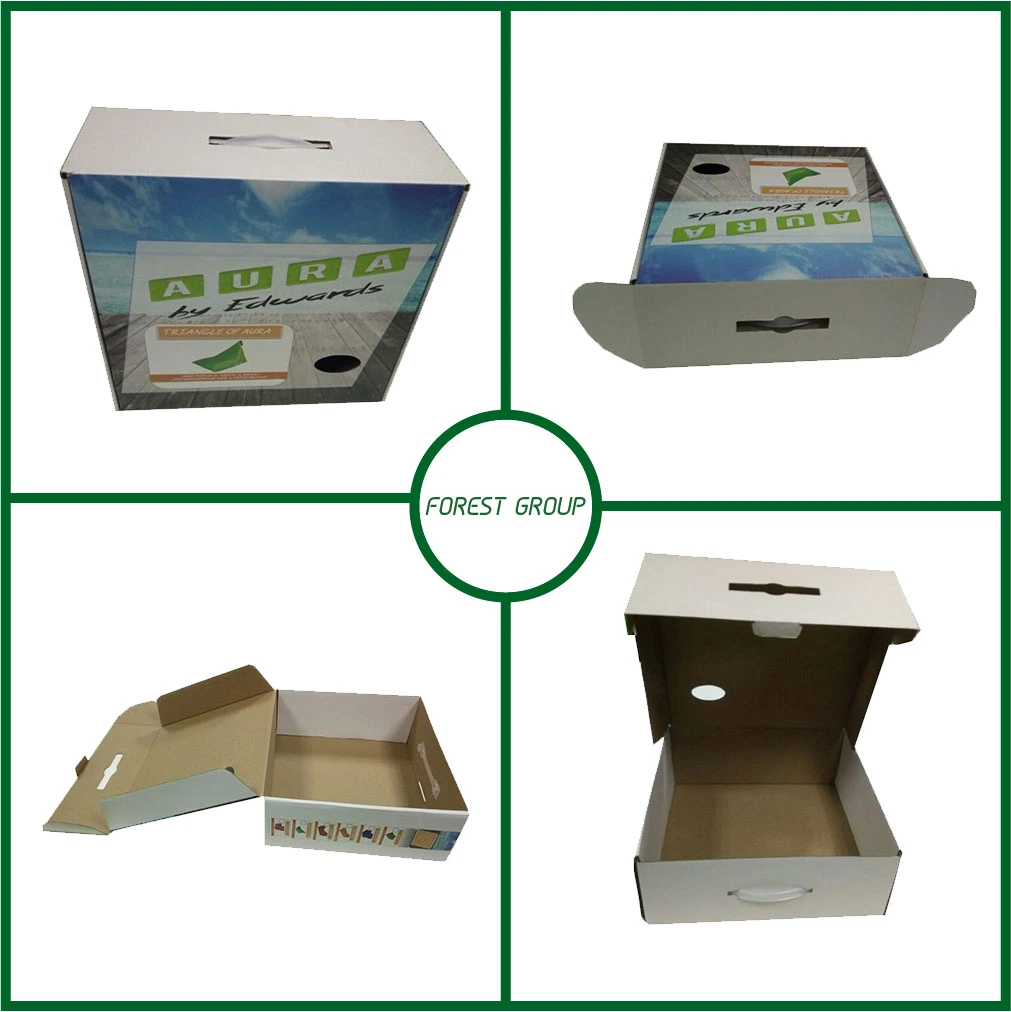 Printed Handle Box Cardboard Box with Plastic Handle Free Design