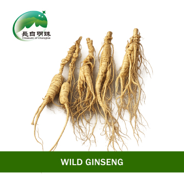No Additives Natural Ginseng