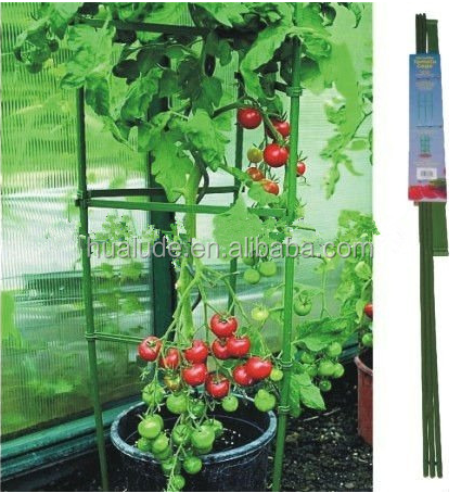 China Made Iron Tomato Cage with Best Quality and Price