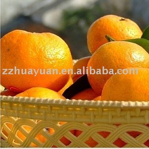 nanfeng orange with high quality