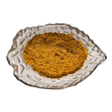 l damiana leaf extract powder 10:1