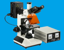 Reflected Fluorescence Microscope