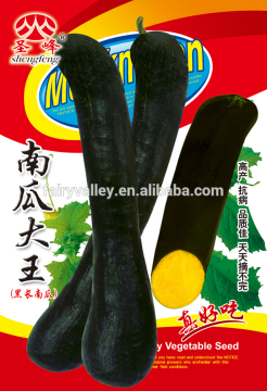 Pumpkin seeds For Growing-Da Wang