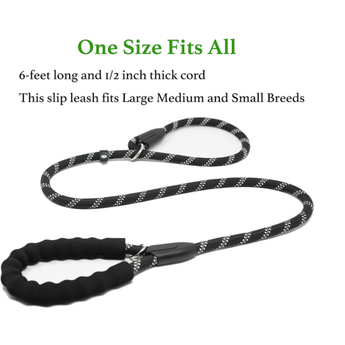 Lina Training Dog Leash