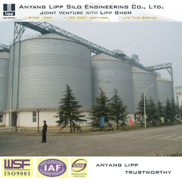 Soy Bean Silo for Oil Processing Plant