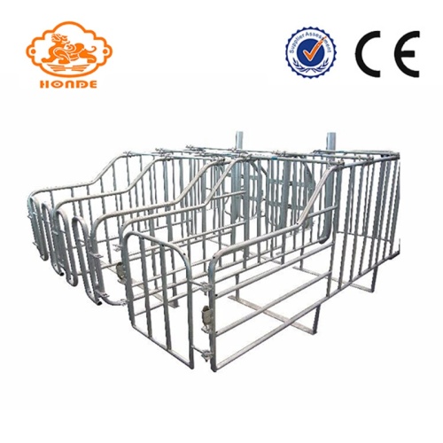 Easy Clean Tube Gestation Crates For Pig Farm