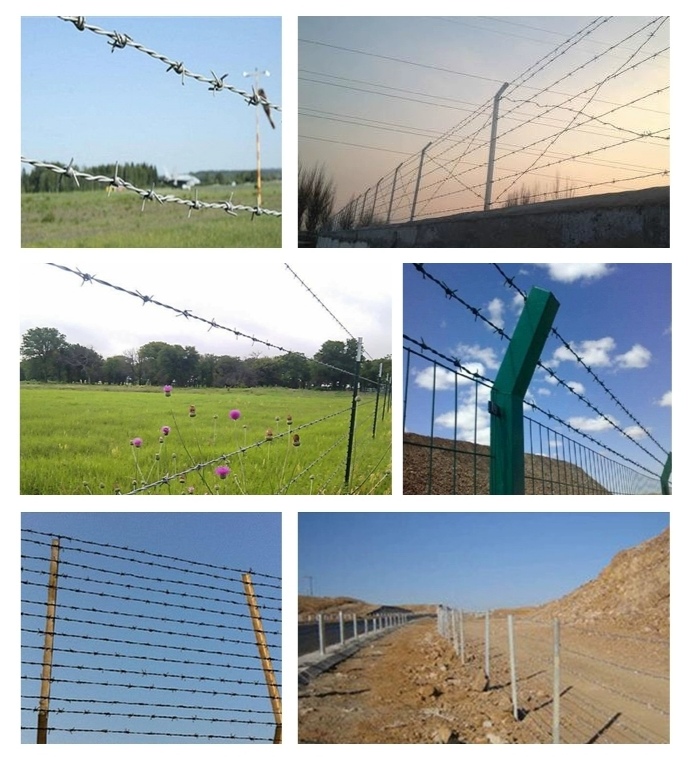 Customizable Barbed Wire From Professional Supplier