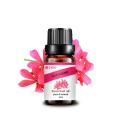 น้ำมันหอมระเหยน้ำหอม Geranium น้ำหอม Geranium 100% น้ำมันหอมระเหย Oganic Geranium Pure สำหรับ Diffuser เทียน