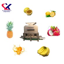 Fruit Pulp Processing Machinery: 2-3t/h Orange/Pineapple Peeler and Juicer Machine