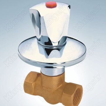 Valve de douche en laiton avec bride en acier inoxydable et bouton de Zinc