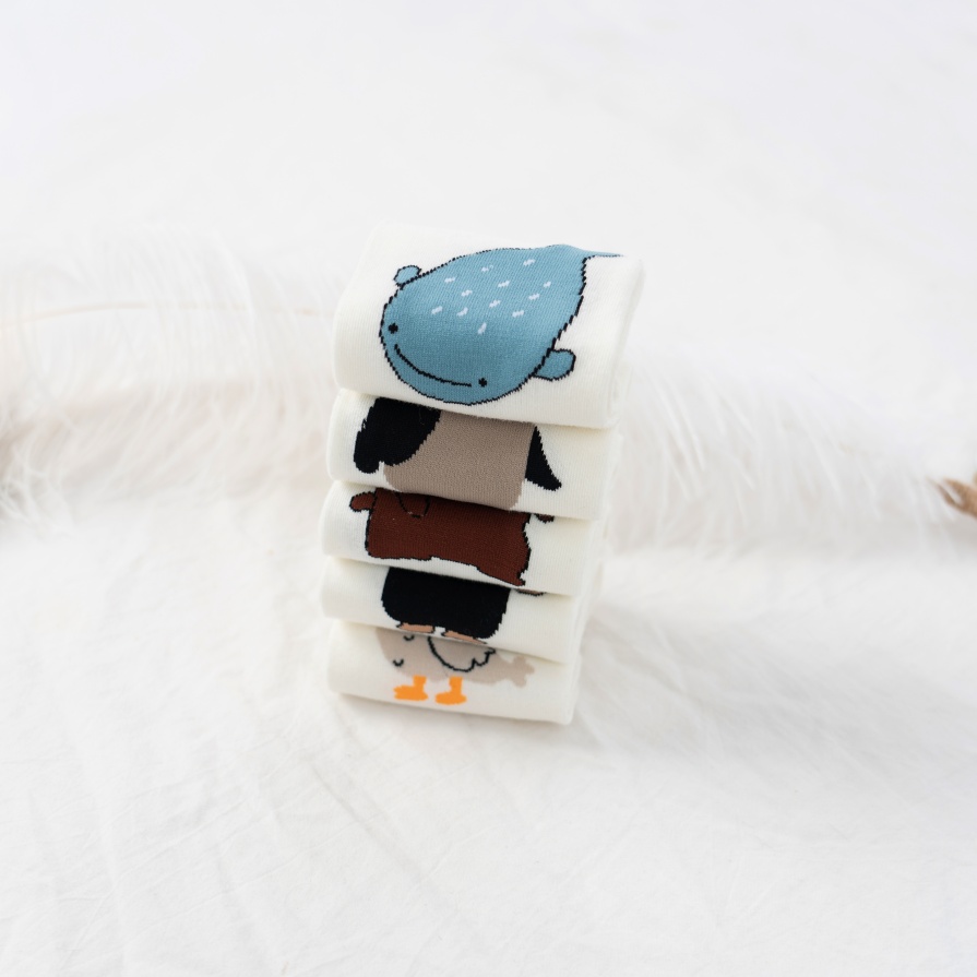 Koleksyon ng mga naka -print na medyas na naka -print na bangka ng hayop