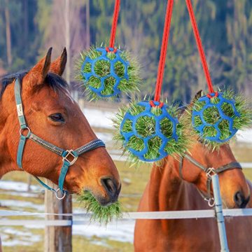 Sfera di trattamento a cavallo in silicone sfera lenta mangime da fieno