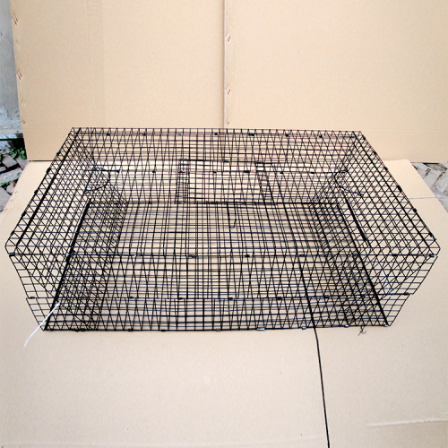 humane live trap mice rat control catch cage