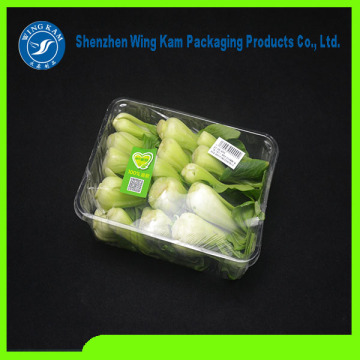 Clamshell Container Box for Fruit and Vegetable