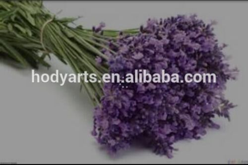 Natural dried Lavender