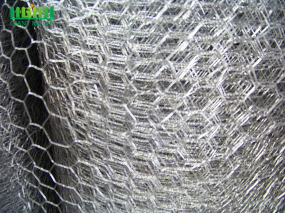 PVC Coated Galvanized Hexagonal Wire Mesh