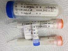 Goat Anti rabbit IgG Polyclonal Antibodies For Vitro Diagno