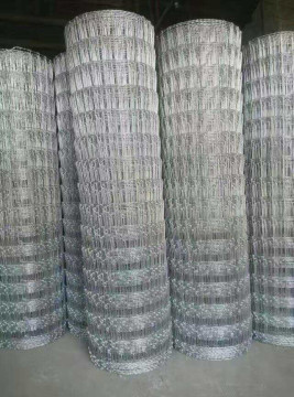 Galvanized Steel Deer Fence (ISO9001)
