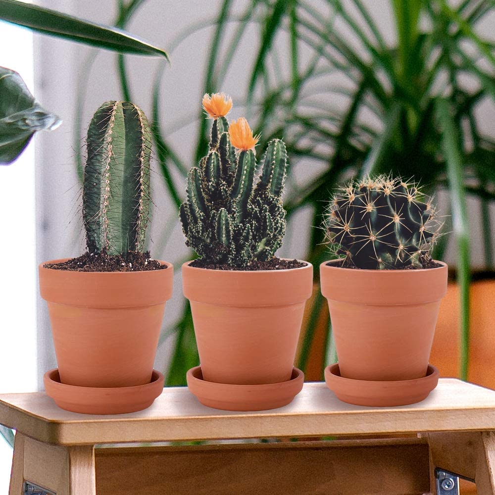 3 pouces petites pots en terre cuite avec soucoupe