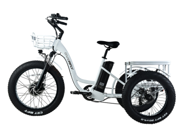 2022 electric bikes three wheel Enclosed Electric Tricycle for Adults