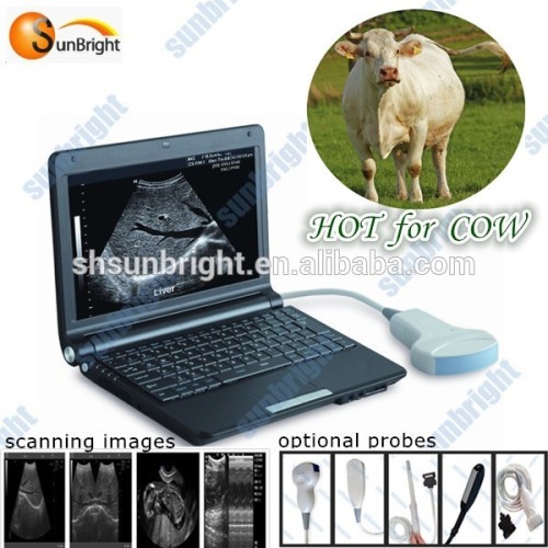 portable veterinary ultrasound for rectal examination at cow