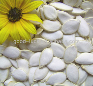 Chinese Pumpkin Seed Price