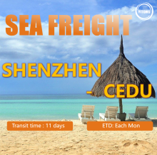 Sea Shipping From Shenzhen To Cebu Philippines